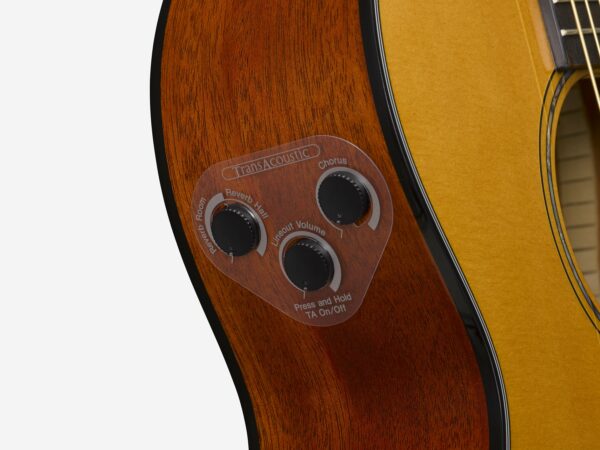 a close up of a guitar