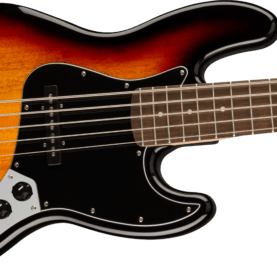 5 string electric bass guitar