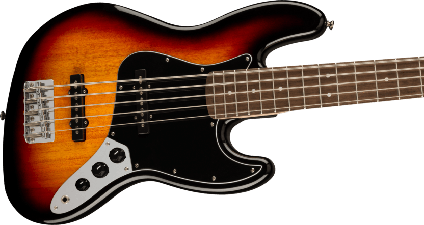 5 string electric bass guitar