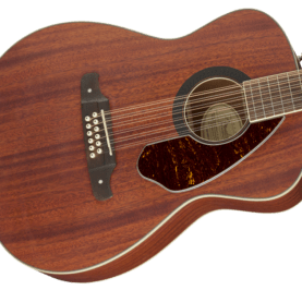 12 string acoustic guitar